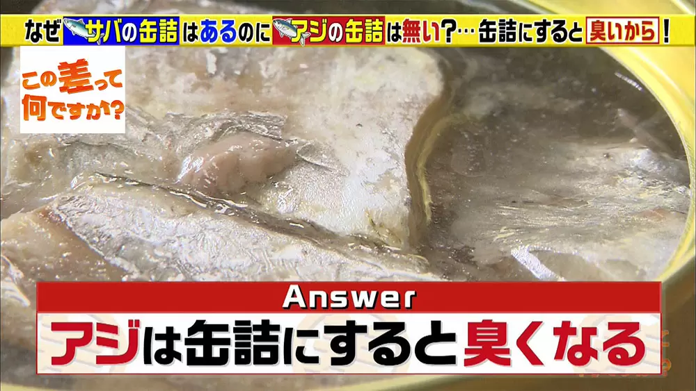 アジが缶詰に向かない 残念すぎる理由とは この差って何ですか