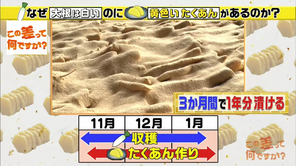 大根は白いのに なぜ たくあん は黄色いの この差って何ですか Tbsテレビ 大根は白いのに なぜ たくあん は黄色いの この差って何ですか Tbsテレビ