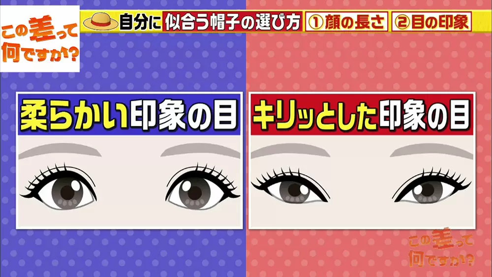 “柔らかい目”と“キリッとした目”