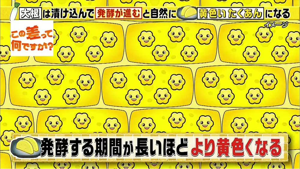 大根は白いのに、なぜ「たくあん」は黄色いの？この差って何ですか 