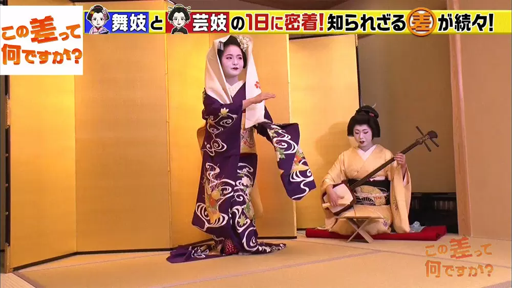 舞妓さん と 芸妓さん の差って何ですか この差って何ですか Tbsテレビ 舞妓さん と 芸妓さん の差って何ですか この差って何ですか Tbsテレビ