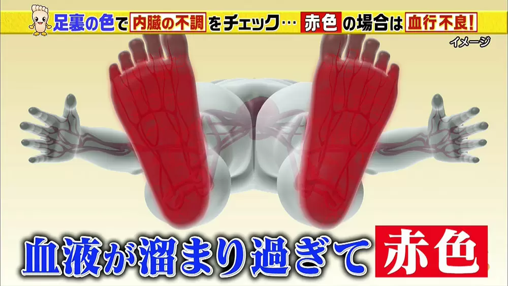内臓の不調は 足の裏の色 でわかる 簡単セルフチェック Tbsテレビ 内臓の不調は 足の裏の色 でわかる 簡単セルフチェック Tbsテレビ