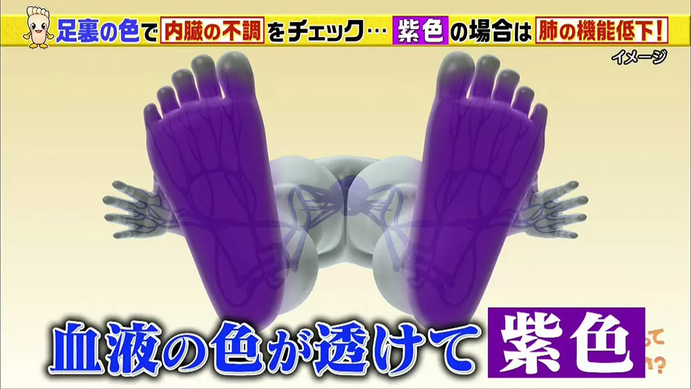 内臓の不調は 足の裏の色 でわかる 簡単セルフチェック Tbsテレビ 内臓の不調は 足の裏の色 でわかる 簡単セルフチェック Tbsテレビ