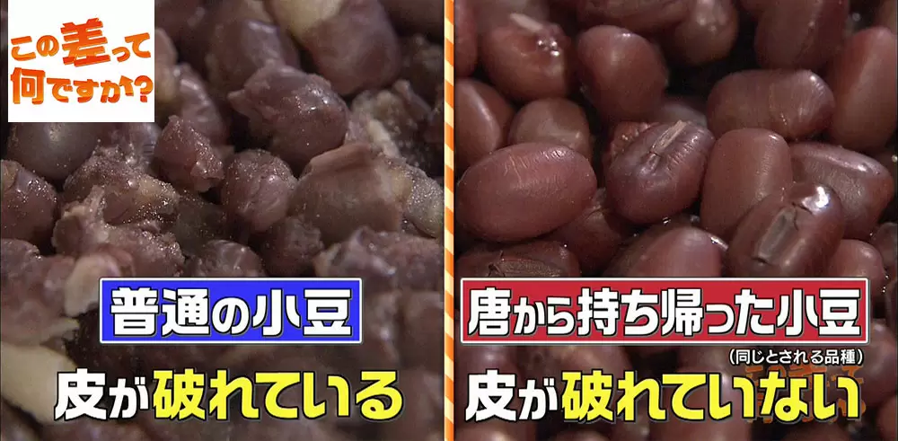 つぶあん と 小倉あん の違い 知ってますか この差って何ですか Tbsテレビ