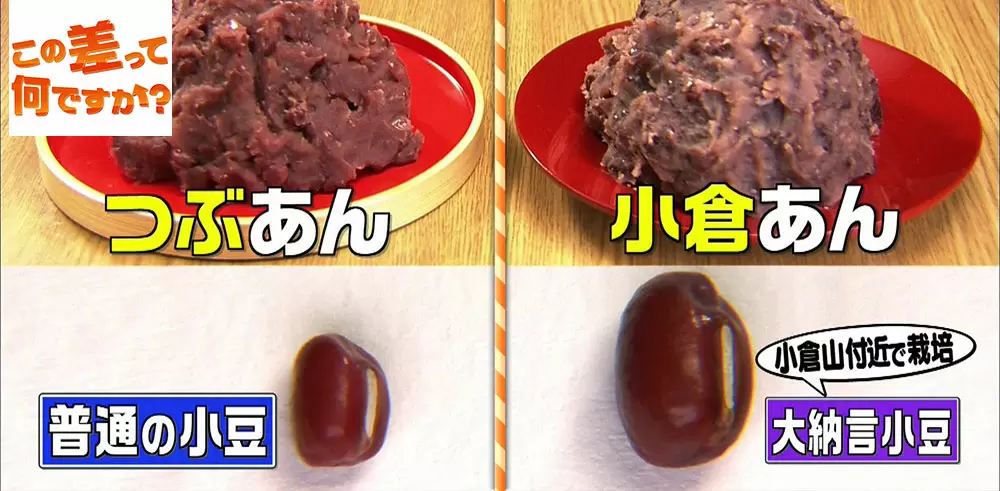 つぶあん と 小倉あん の違い 知ってますか この差って何ですか Tbsテレビ