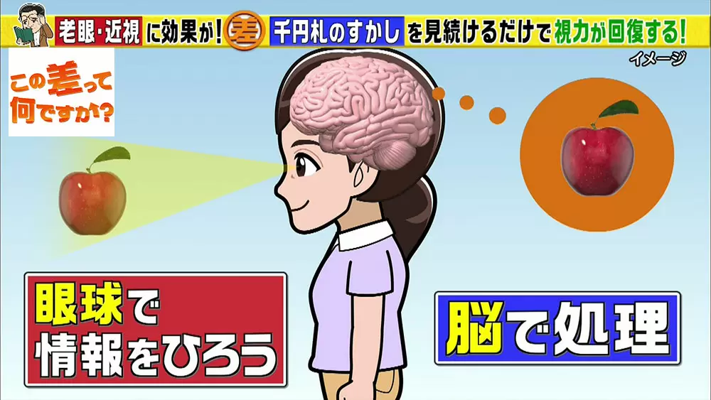 世界で唯一 科学的に実証された 視力回復法 は千円札を見るだけ tbsテレビ