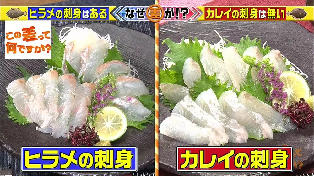 ヒラメ と カレイ 似ているのに カレイの刺身 を見ないのはなぜ この差って何ですか Tbsテレビ