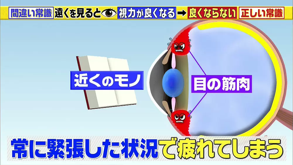 暗いところで本を読む 視力低下 は間違い 目にまつわる驚きの新常識 この差って何ですか tbsテレビ