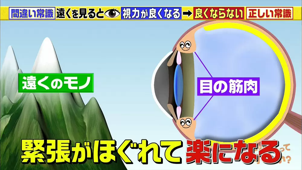暗いところで本を読む 視力低下 は間違い 目にまつわる驚きの新常識 この差って何ですか Tbsテレビ