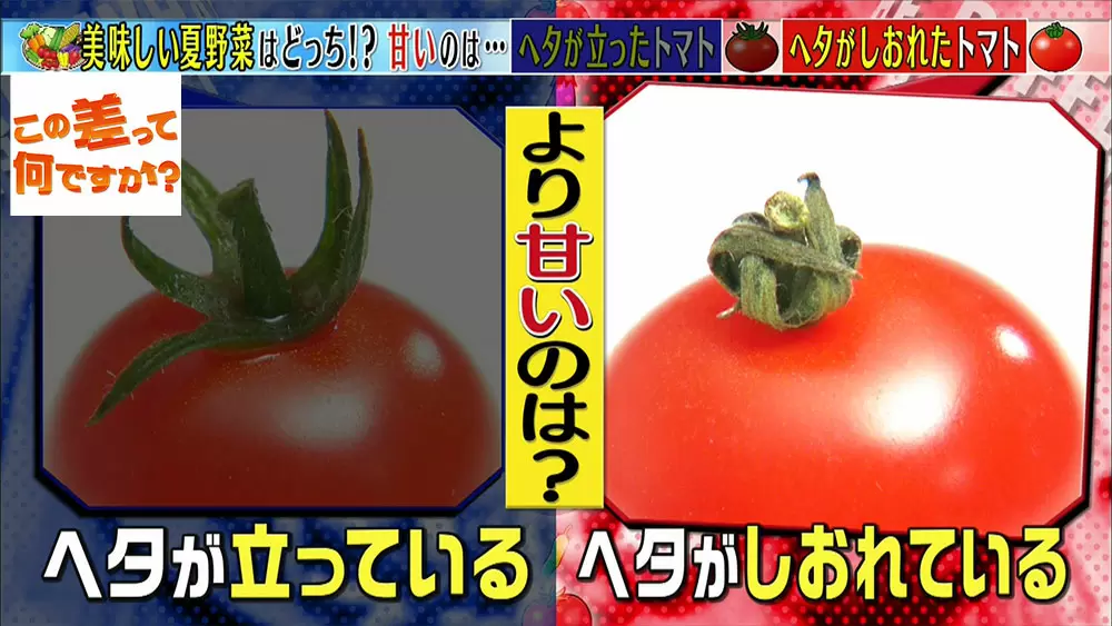 知っておくと得する おいしい野菜の見分け方3選 この差って何ですか Tbsテレビ 知っておくと得する おいしい野菜の見分け方3選 この差って何ですか Tbsテレビ