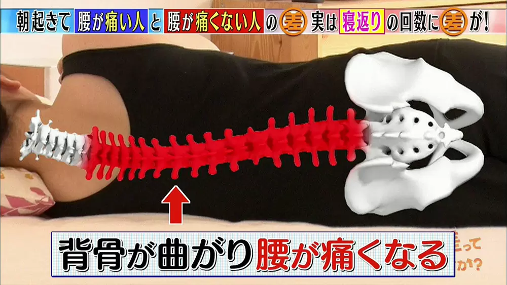 朝起きたときに腰が痛くなる その理由と改善方法は Tbsテレビ