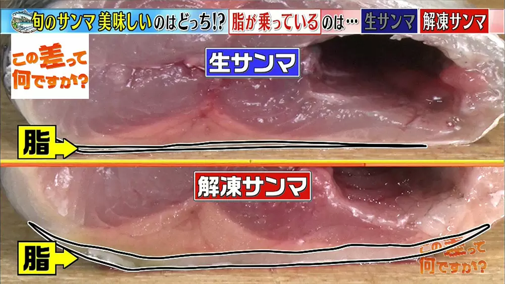 超簡単 スーパーで美味しい魚を見分ける方法5選 この差って何ですか Tbsテレビ 超簡単 スーパーで美味しい魚を見分ける方法5選 この差って何ですか Tbsテレビ