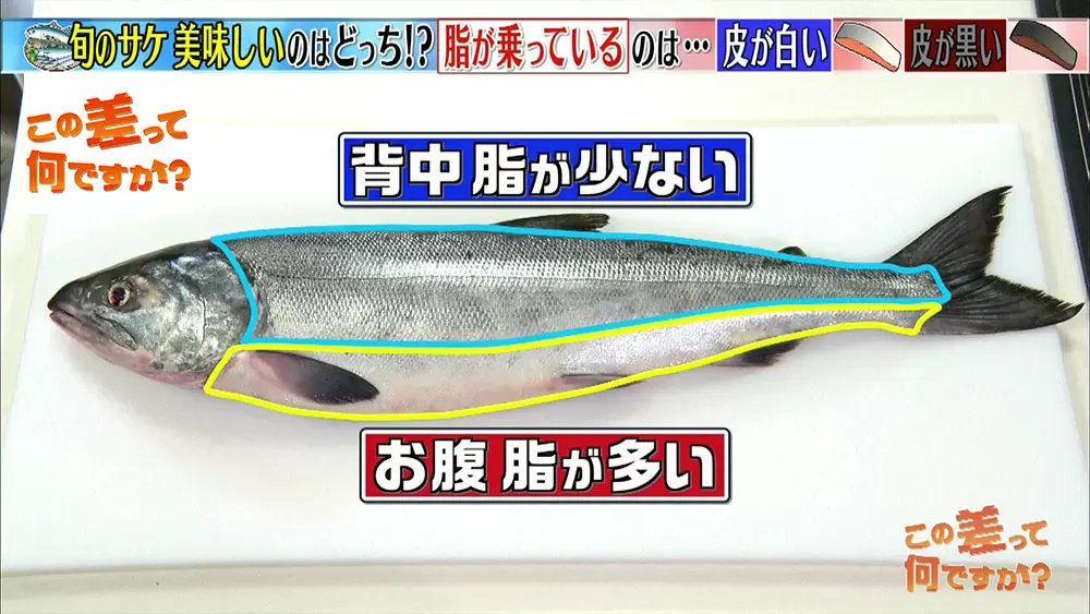 超簡単 スーパーで美味しい魚を見分ける方法5選 この差って何ですか Tbsテレビ 超簡単 スーパーで美味しい魚を見分ける方法5選 この差って何ですか Tbsテレビ