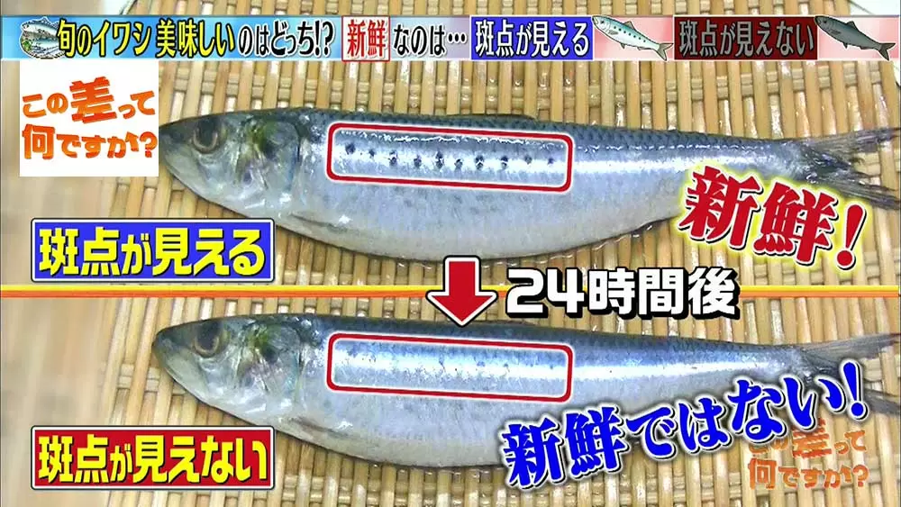 超簡単 スーパーで美味しい魚を見分ける方法5選 この差って何ですか Tbsテレビ