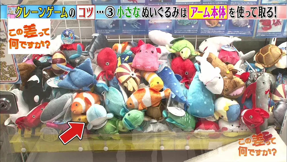 クレーンゲームで景品をゲットする驚きの 技 4選 この差って何ですか Tbsテレビ