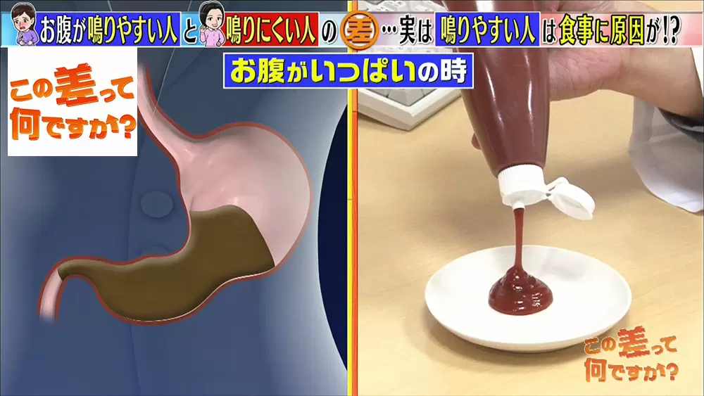 お腹が 鳴る のはなぜ 2つの原因とカンタン対策 この差って何ですか Tbsテレビ お腹が 鳴る のはなぜ 2つの原因とカンタン対策 この差って何ですか Tbsテレビ