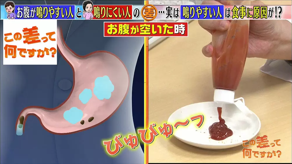 お腹が 鳴る のはなぜ 2つの原因とカンタン対策 この差って何ですか Tbsテレビ お腹が 鳴る のはなぜ 2つの原因とカンタン対策 この差って何ですか Tbsテレビ