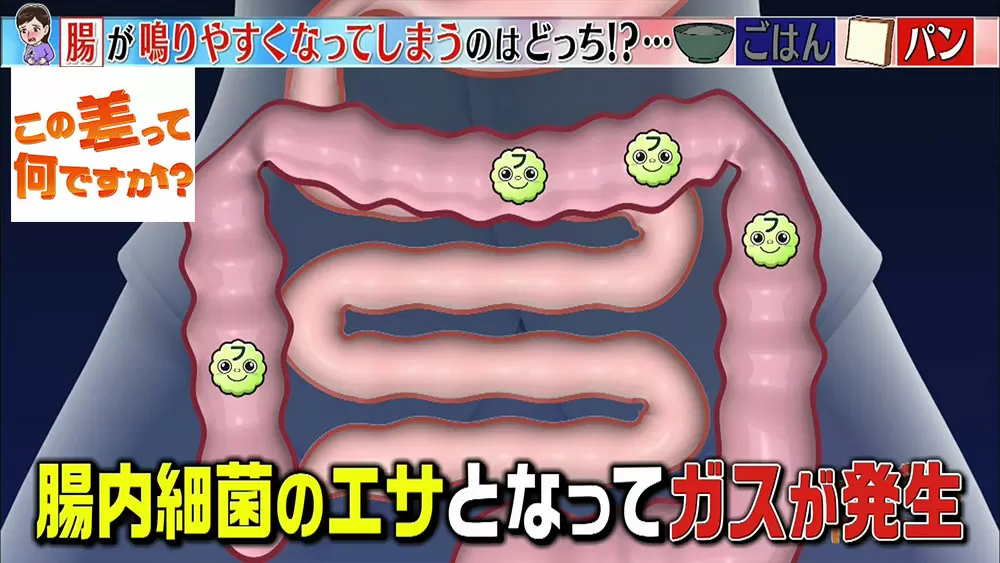 が なる 理由 お腹