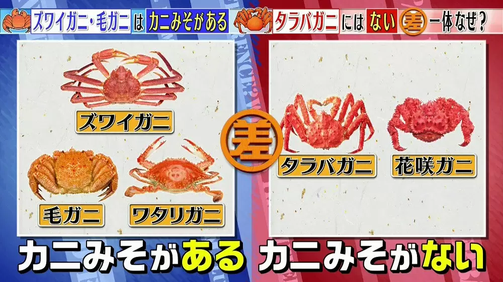 カニみそ があるカニと ないカニの差って何 この差って何ですか Tbsテレビ カニみそ があるカニと ないカニの差って何 この差って何ですか Tbsテレビ