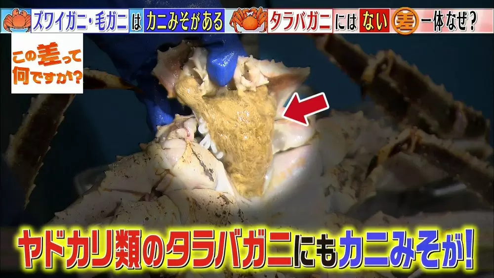 カニみそ があるカニと ないカニの差って何 この差って何ですか Tbsテレビ