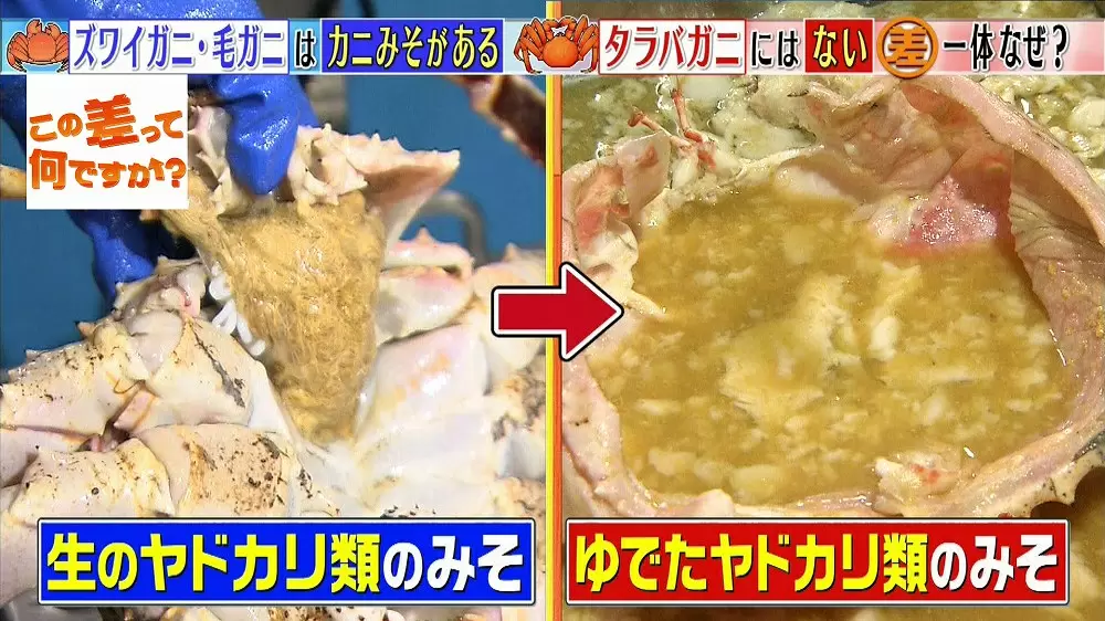 カニみそ があるカニと ないカニの差って何 この差って何ですか Tbsテレビ カニみそ があるカニと ないカニの差って何 この差って何ですか Tbsテレビ