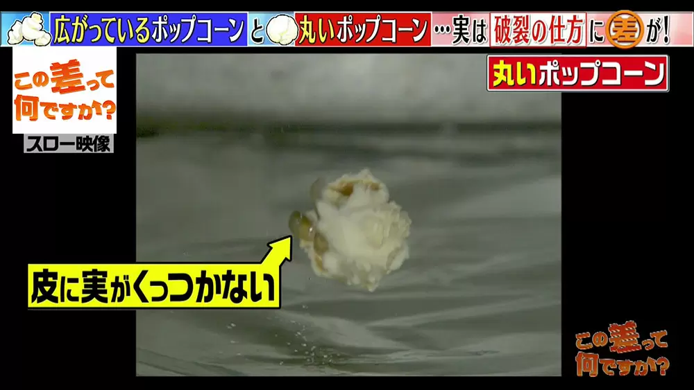 丸いポップコーン と 広がっているポップコーン その差って何 この差って何ですか Tbsテレビ 丸いポップコーン と 広がっているポップコーン その差って何 この差って何ですか Tbsテレビ