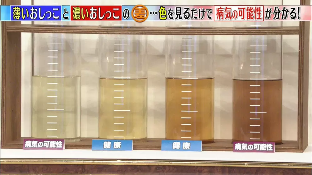 おしっこが透明 気を付けたい おしっこの色 は Tbsテレビ おしっこが透明 気を付けたい おしっこの色 は Tbsテレビ