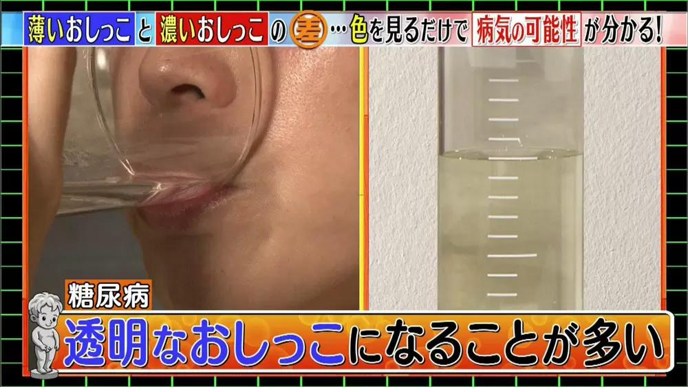 おしっこが透明 気を付けたい おしっこの色 は Tbsテレビ おしっこが透明 気を付けたい おしっこの色 は Tbsテレビ