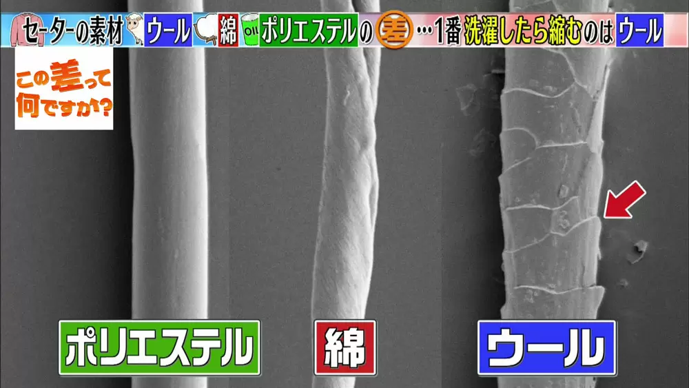 洗濯で縮んだセーター を元通りにできるって知ってた この差って何ですか Tbsテレビ 洗濯で縮んだセーター を元通りにできるって知ってた この差って何ですか Tbsテレビ