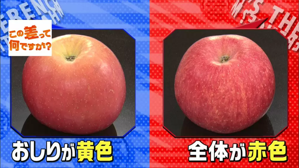 熟して甘い リンゴを選びたいなら おしり を見るべし この差って何ですか Tbsテレビ