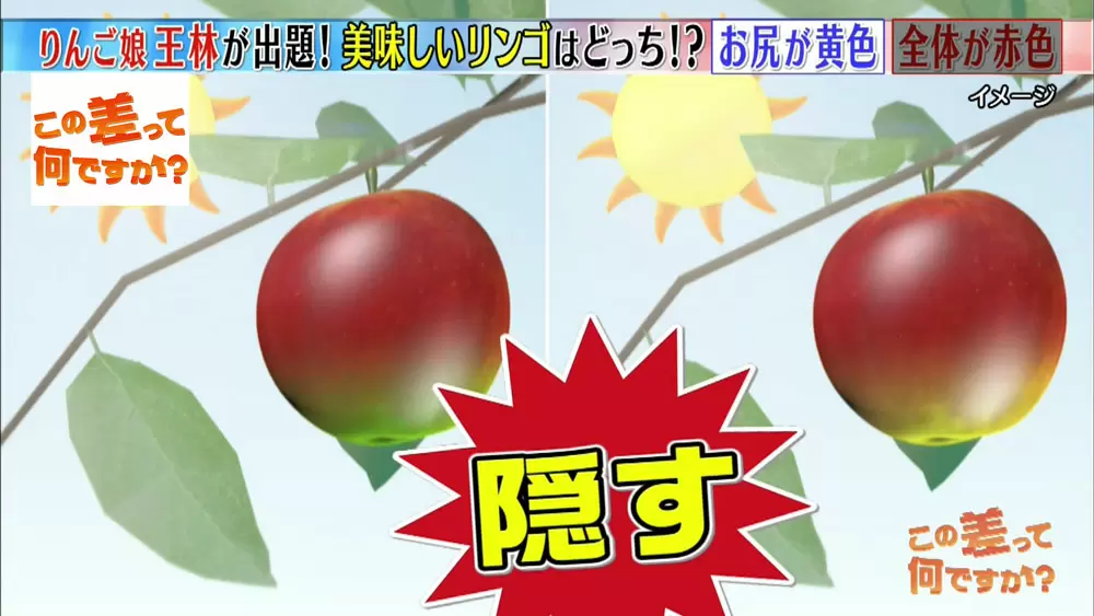 熟して甘い リンゴを選びたいなら おしり を見るべし この差って何ですか Tbsテレビ