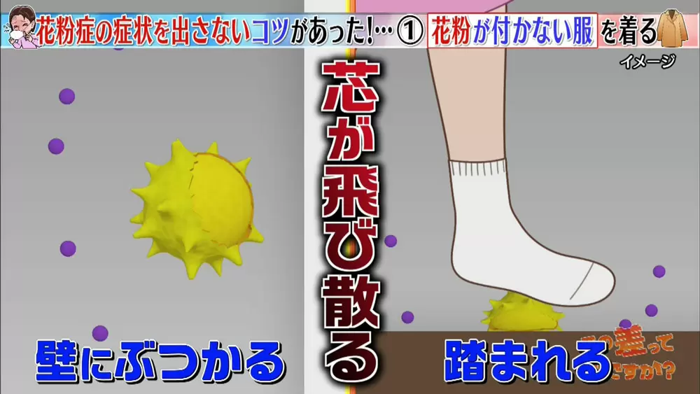 花粉症 は室内こそ注意 効果的な掃除 対策まとめ この差って何ですか Tbsテレビ