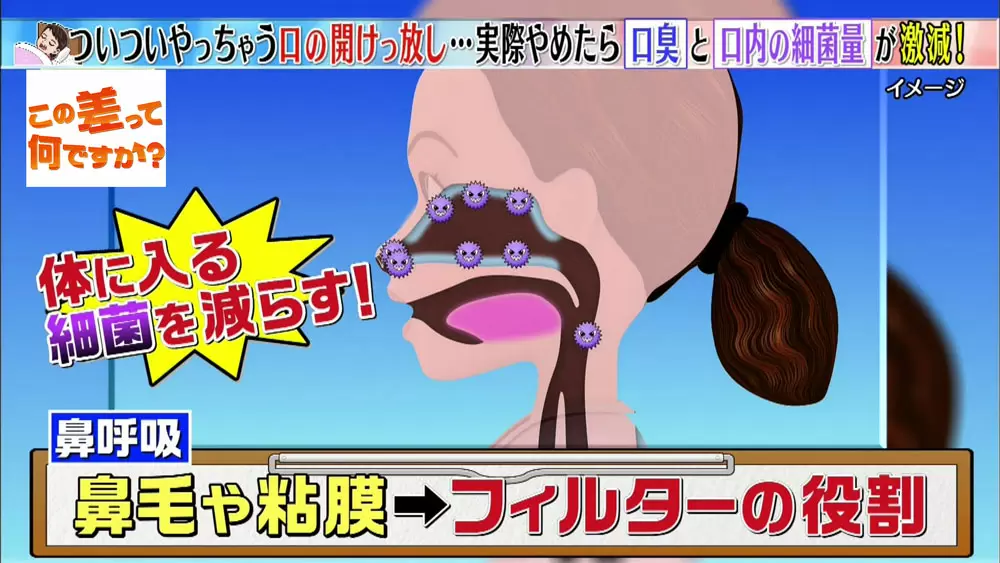その口 臭ってるかも 口呼吸 がもたらすデメリット この差って何ですか Tbsテレビ その口 臭ってるかも 口呼吸 がもたらすデメリット この差って何ですか Tbsテレビ