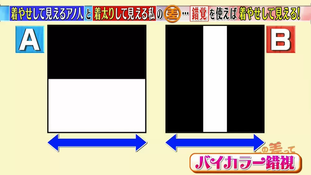 目の錯覚を利用した 着やせ のテクニック Tbsテレビ