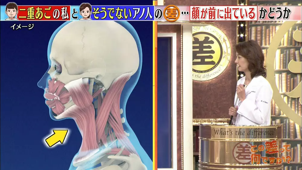 太ってないのになぜ 二重あご カンタン解消法教えます Tbsテレビ 太ってないのになぜ 二重あご カンタン解消法教えます Tbsテレビ