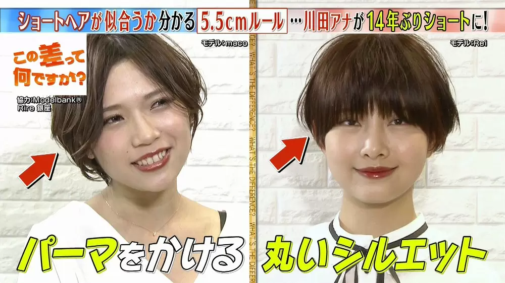 ショートヘアが似合うか分かる 5 5cmルール とは Tbsテレビ ショートヘアが似合うか分かる 5 5cmルール とは Tbsテレビ