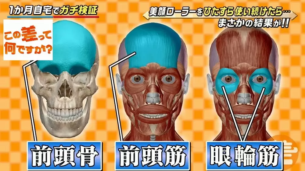 毎日3分で二重まぶたに 整体師考案の 二重マッサージ が話題 Tbsテレビ 毎日3分で二重まぶたに 整体師考案の 二重マッサージ が話題 Tbsテレビ