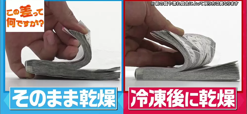 濡れてシワシワになった本を元通りにする プロのスゴ技 Tbsテレビ 濡れてシワシワになった本を元通りにする プロのスゴ技 Tbsテレビ