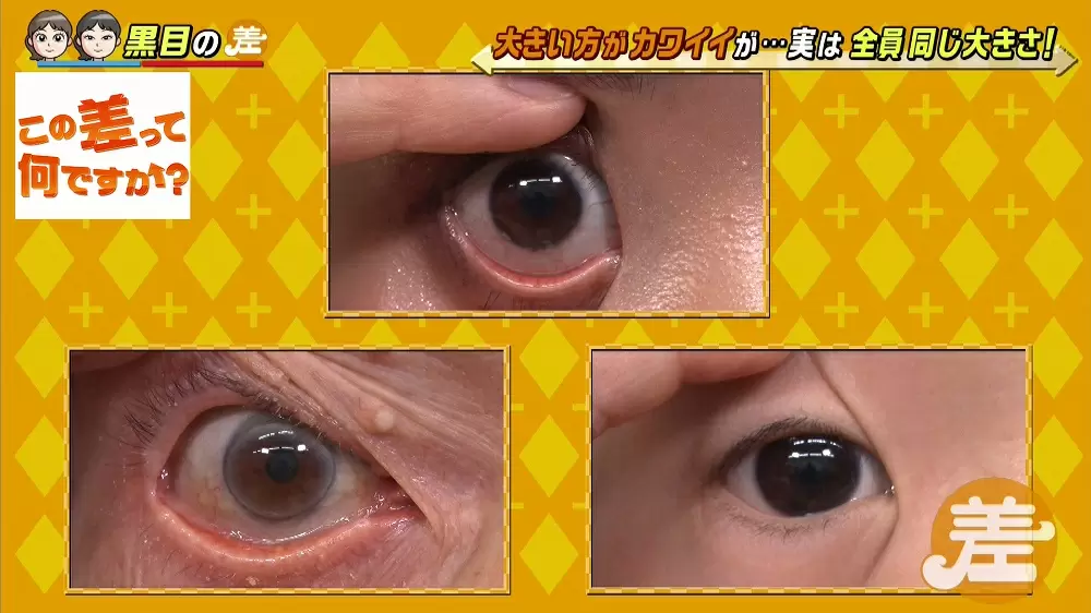 黒目が大きい人と 小さい人の差とは Tbsテレビ 黒目が大きい人と 小さい人の差とは Tbsテレビ