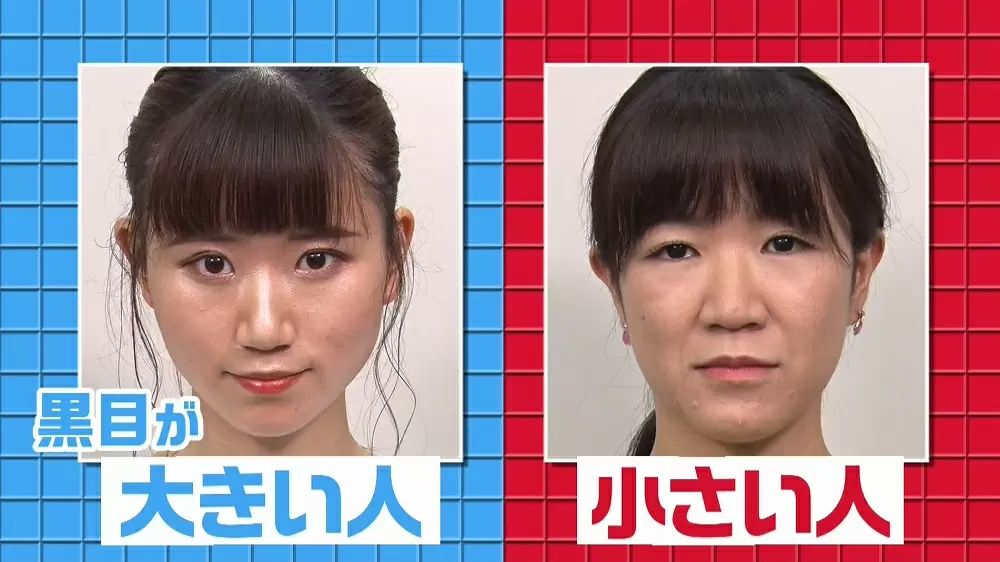 黒目が大きい人と 小さい人の差とは Tbsテレビ 黒目が大きい人と 小さい人の差とは Tbsテレビ