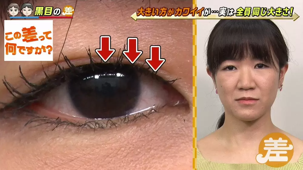 黒目が大きい人と 小さい人の差とは Tbsテレビ 黒目が大きい人と 小さい人の差とは Tbsテレビ