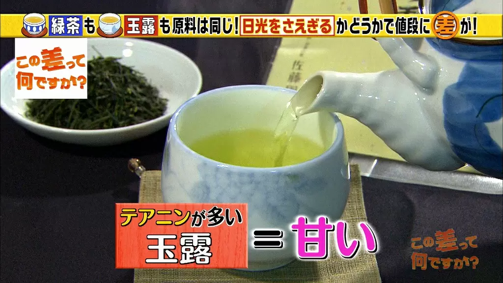 お茶はみんな同じ葉っぱからできていた 種類の違いは何 Tbsテレビ お茶はみんな同じ葉っぱからできていた 種類の違いは何 Tbsテレビ