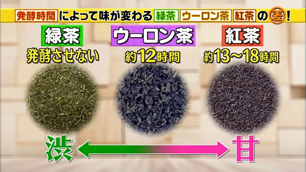 お茶はみんな同じ葉っぱからできていた 種類の違いは何 Tbsテレビ お茶はみんな同じ葉っぱからできていた 種類の違いは何 Tbsテレビ