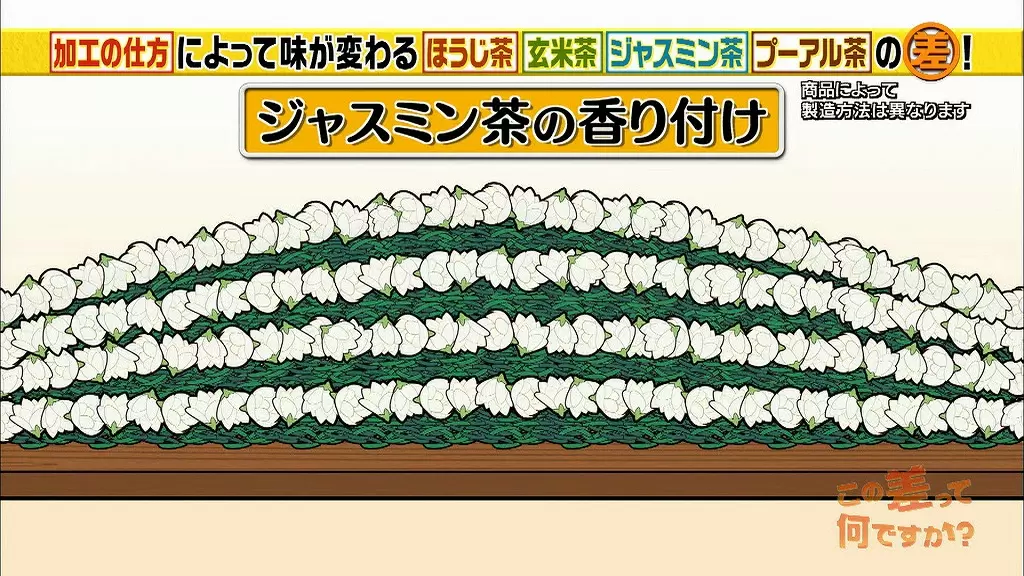 お茶はみんな同じ葉っぱからできていた 種類の違いは何 Tbsテレビ