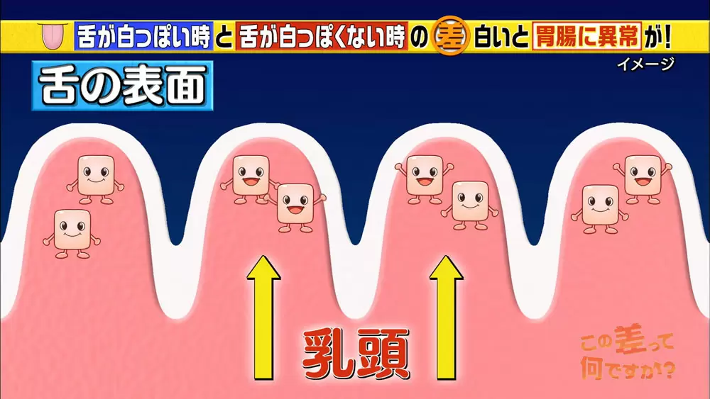 白い舌は胃腸のsos 舌でわかる健康学 Tbsテレビ 白い舌は胃腸のsos 舌でわかる健康学 Tbsテレビ