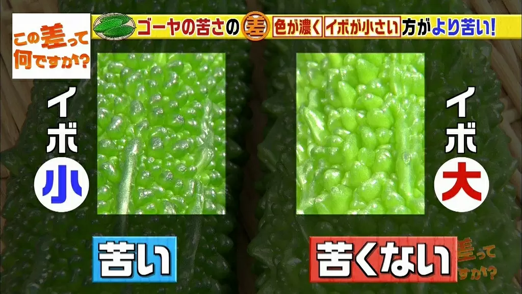 苦いゴーヤと苦くないゴーヤは見分けられる ポイントは色とイボの大きさ Tbsテレビ 苦いゴーヤと苦くないゴーヤは見分けられる ポイントは色とイボの大きさ Tbsテレビ