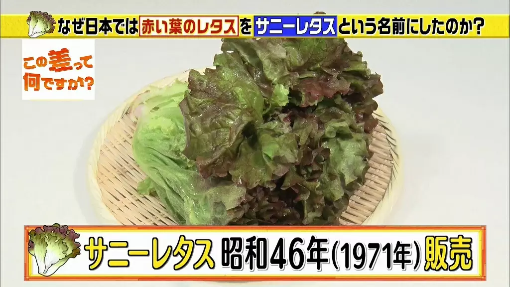 名前を変えて大成功 あの野菜の名前の知られざる裏話 Tbsテレビ 名前を変えて大成功 あの野菜の名前の知られざる裏話 Tbsテレビ