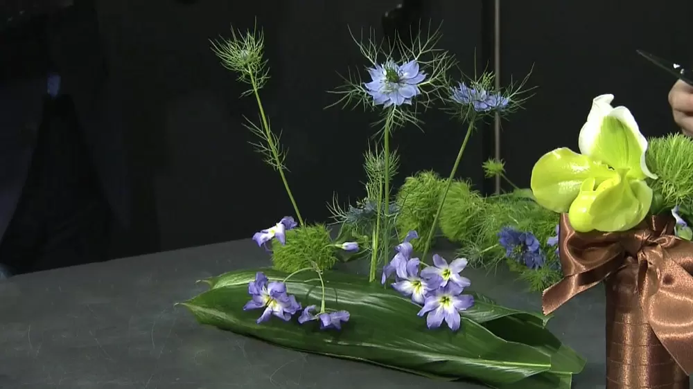 フラワーデザイナー直伝 花瓶ナシでオシャレにお花を飾る3つの裏技 ぴったんこカン カン Tbsテレビ