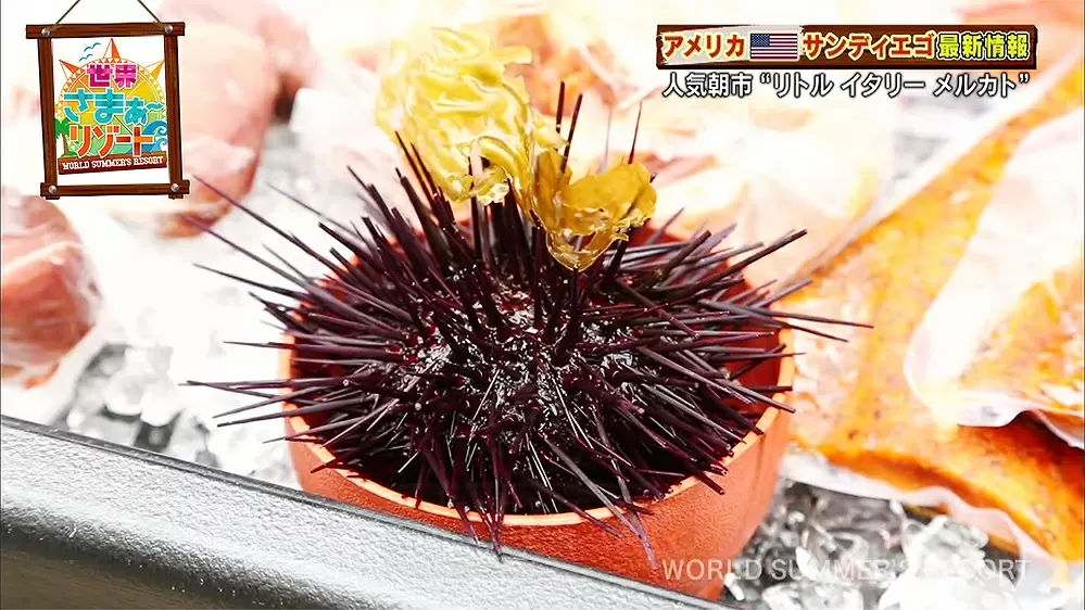 一度は行ってみたいリゾート サンディエゴの最新グルメ3選 Tbsテレビ 一度は行ってみたいリゾート サンディエゴの最新グルメ3選 Tbsテレビ