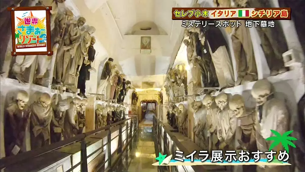 なんだこれ ミイラが数千体眠るミステリースポット Tbsテレビ